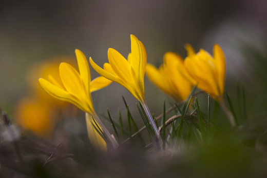 849605 (a): :2048x1365